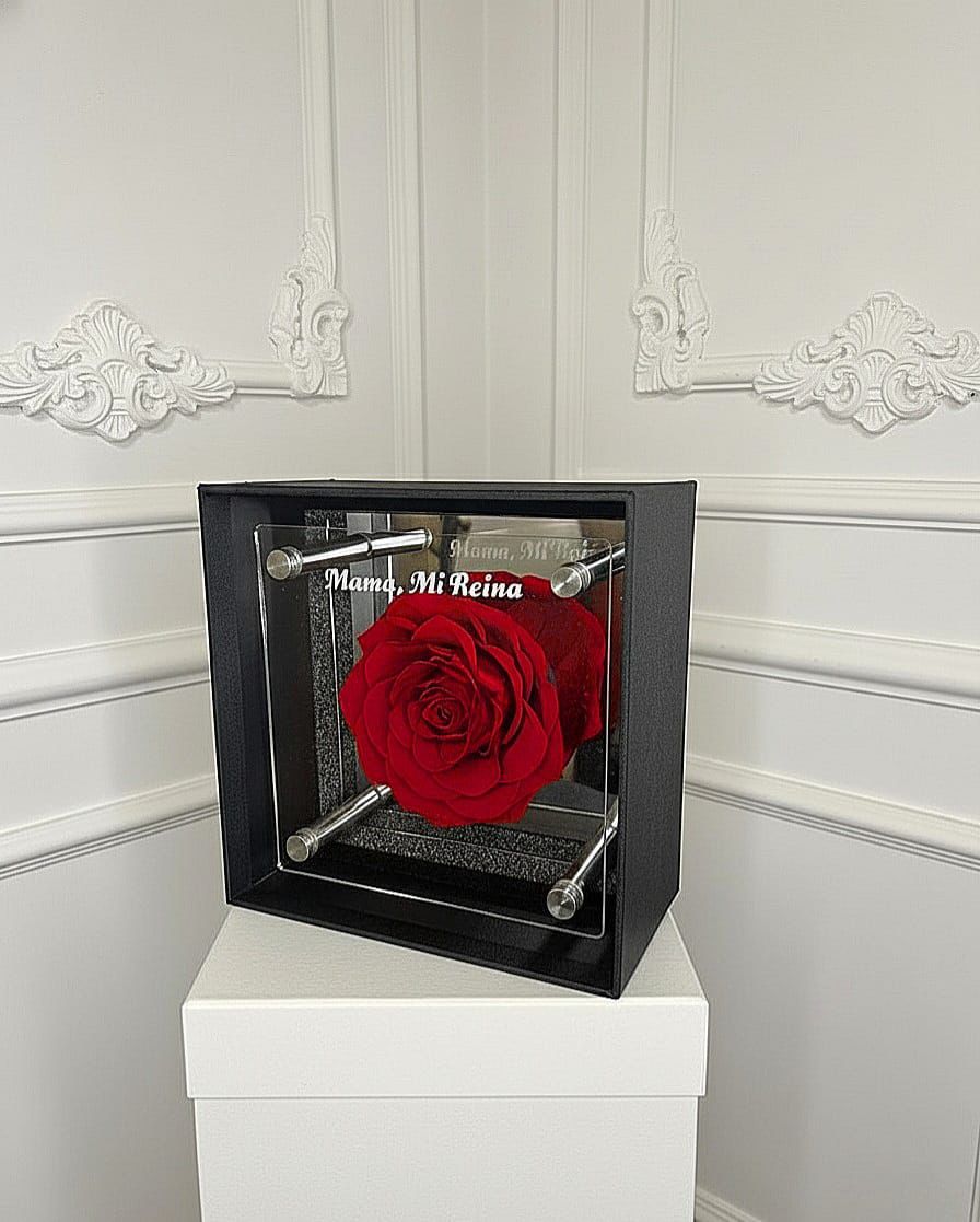 Rose Sous Miroir - MDFLOWERS