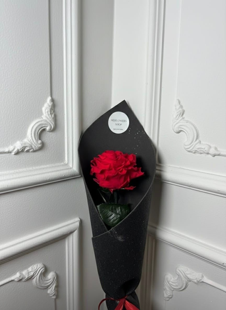 Rose éternelle - MDFLOWERS