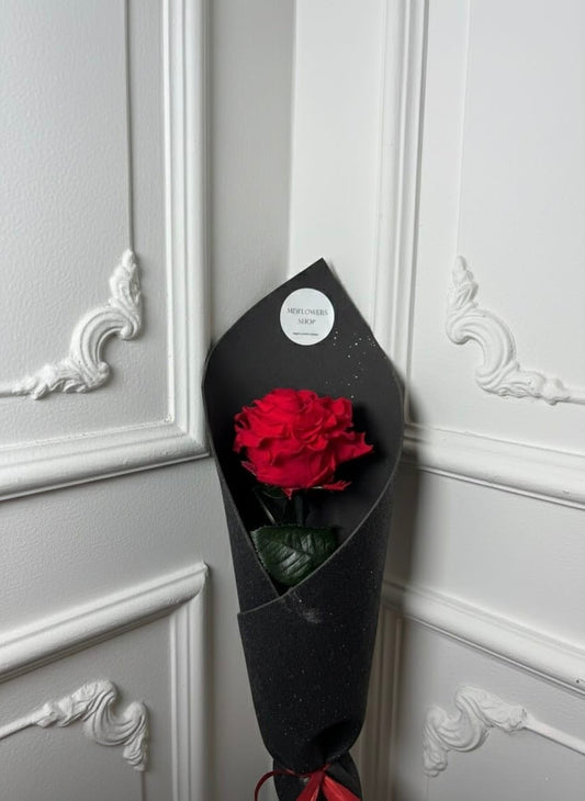 Rose éternelle - MDFLOWERS