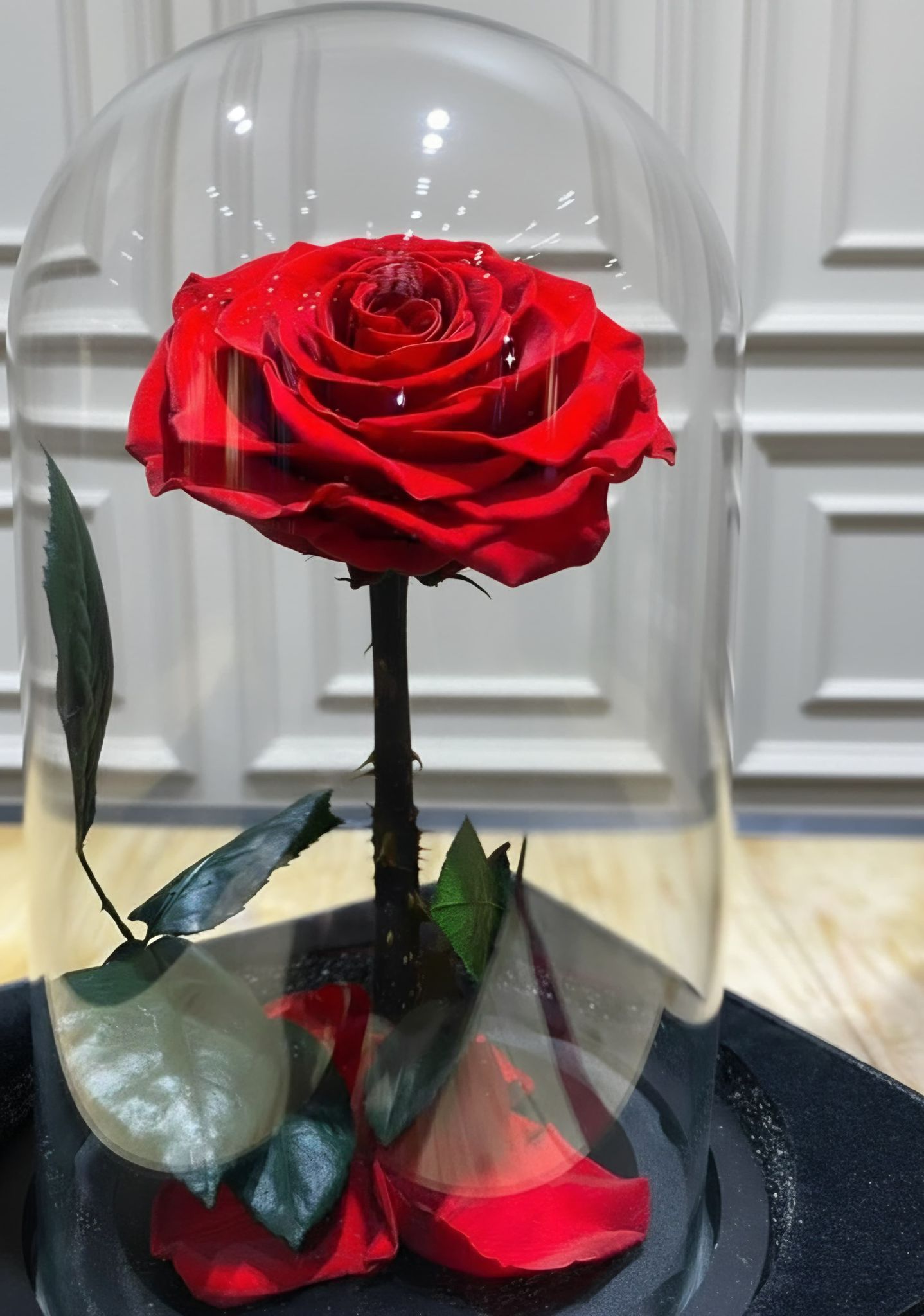 Rose sous cloche - MDFLOWERS